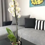 Apartmán Loim